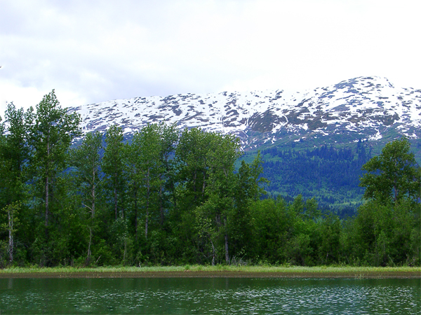  the Chilkat River in Haines Alaska